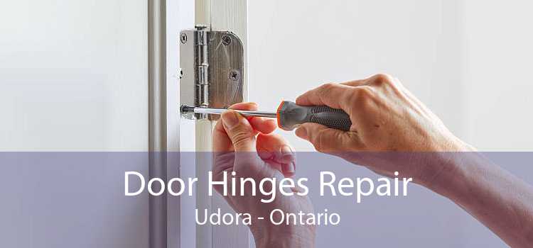 Door Hinges Repair Udora - Ontario