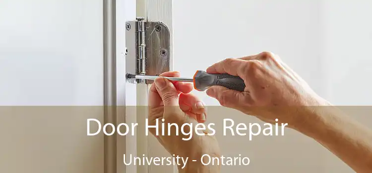 Door Hinges Repair University - Ontario