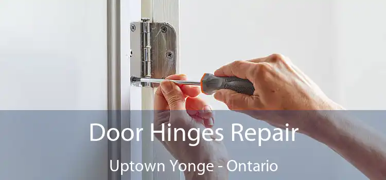 Door Hinges Repair Uptown Yonge - Ontario