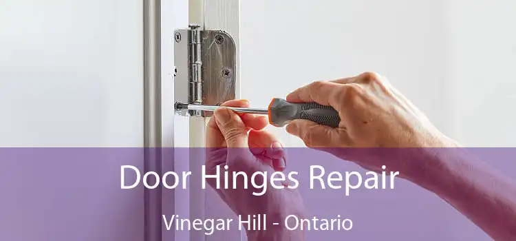 Door Hinges Repair Vinegar Hill - Ontario