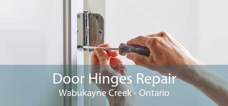 Door Hinges Repair Wabukayne Creek - Ontario