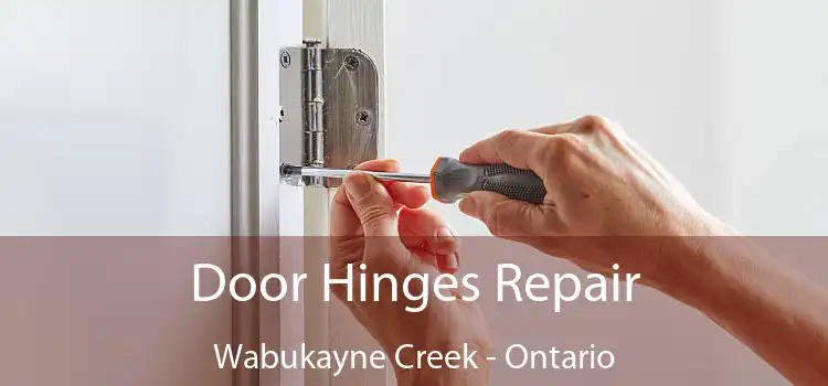 Door Hinges Repair Wabukayne Creek - Ontario