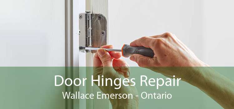 Door Hinges Repair Wallace Emerson - Ontario