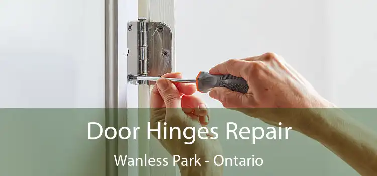 Door Hinges Repair Wanless Park - Ontario