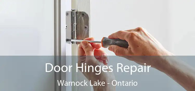 Door Hinges Repair Warnock Lake - Ontario