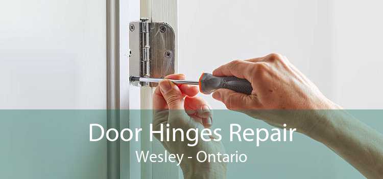 Door Hinges Repair Wesley - Ontario