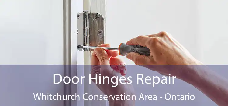 Door Hinges Repair Whitchurch Conservation Area - Ontario
