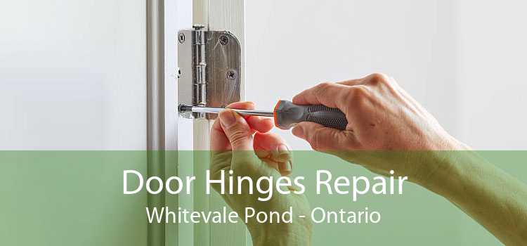 Door Hinges Repair Whitevale Pond - Ontario