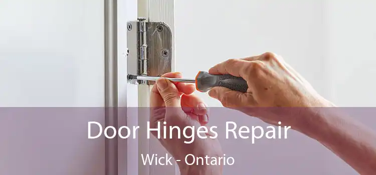 Door Hinges Repair Wick - Ontario