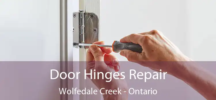 Door Hinges Repair Wolfedale Creek - Ontario