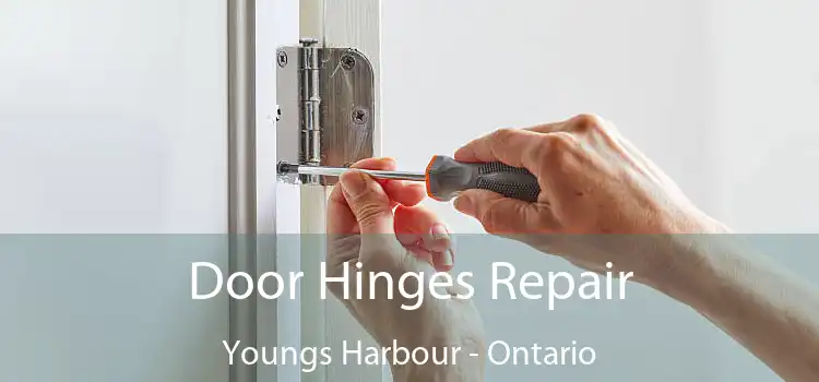 Door Hinges Repair Youngs Harbour - Ontario