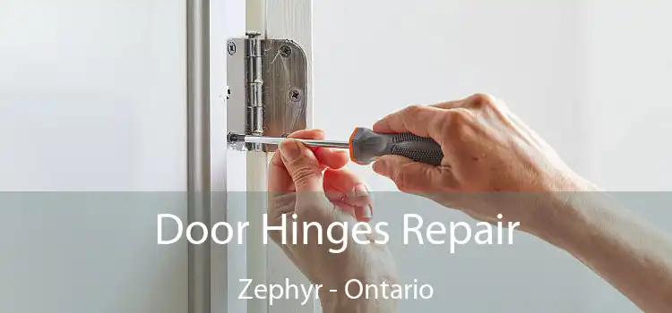 Door Hinges Repair Zephyr - Ontario