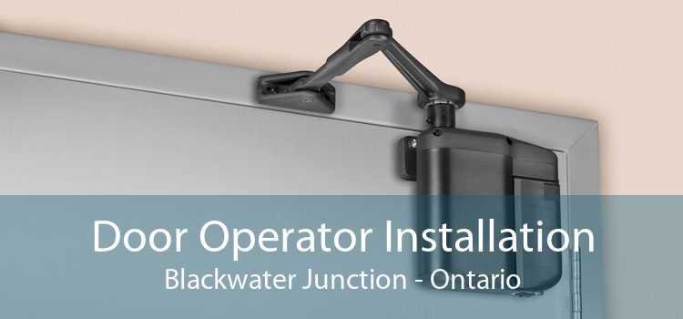 Door Operator Installation Blackwater Junction - Ontario