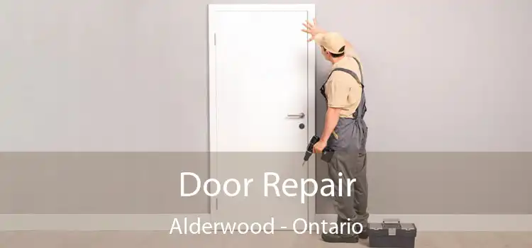 Door Repair Alderwood - Ontario