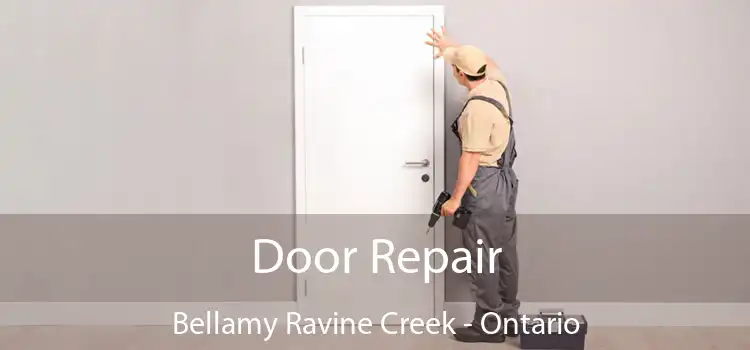 Door Repair Bellamy Ravine Creek - Ontario