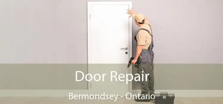 Door Repair Bermondsey - Ontario