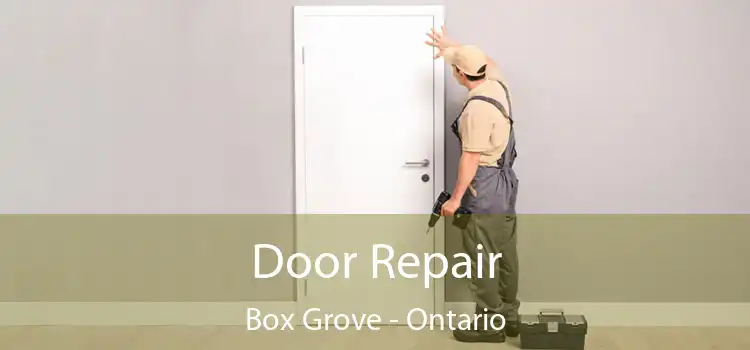 Door Repair Box Grove - Ontario