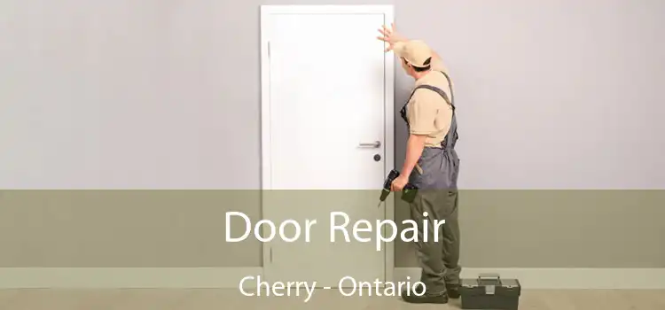 Door Repair Cherry - Ontario