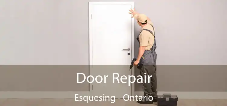 Door Repair Esquesing - Ontario