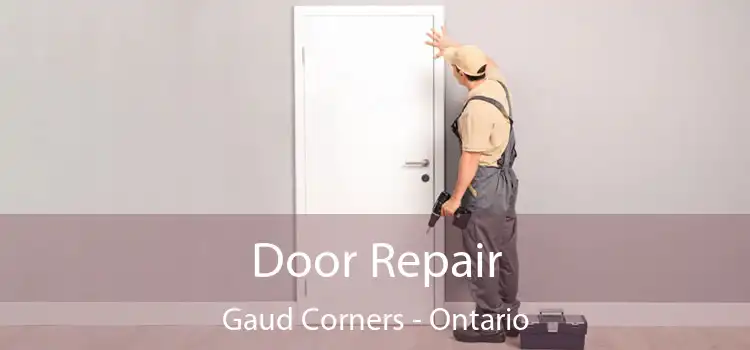 Door Repair Gaud Corners - Ontario