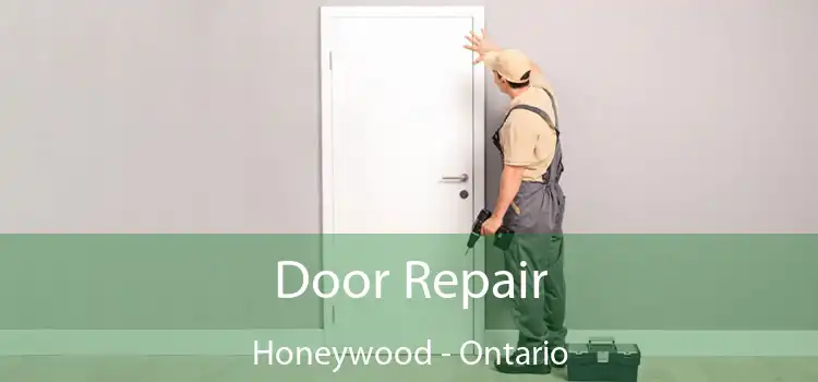 Door Repair Honeywood - Ontario