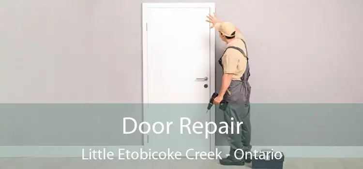 Door Repair Little Etobicoke Creek - Ontario