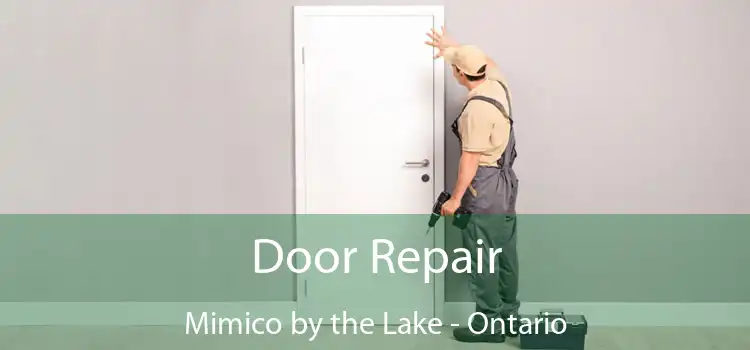 Door Repair Mimico by the Lake - Ontario