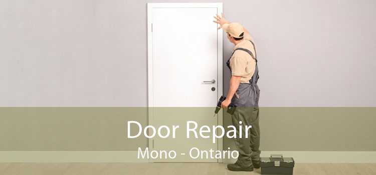 Door Repair Mono - Ontario