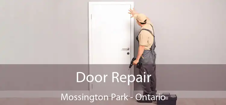 Door Repair Mossington Park - Ontario