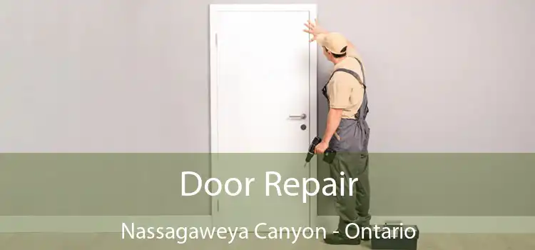Door Repair Nassagaweya Canyon - Ontario