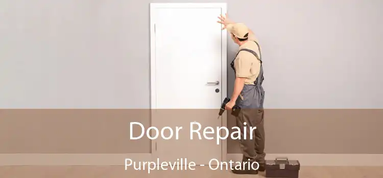 Door Repair Purpleville - Ontario