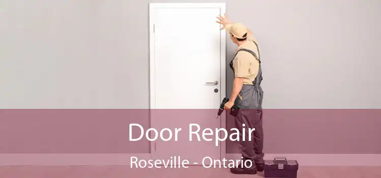 Door Repair Roseville - Ontario