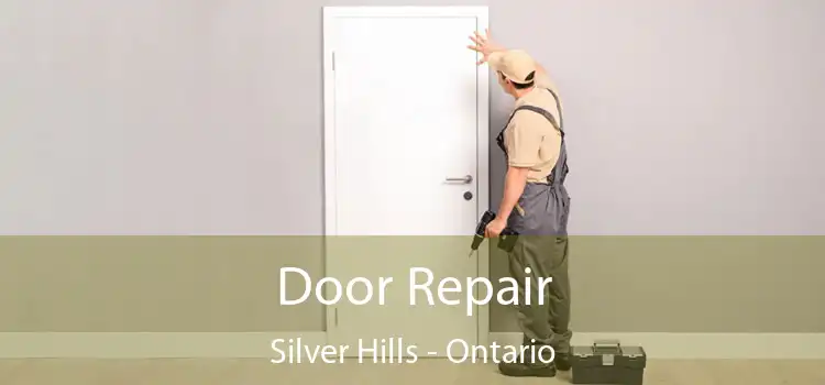 Door Repair Silver Hills - Ontario
