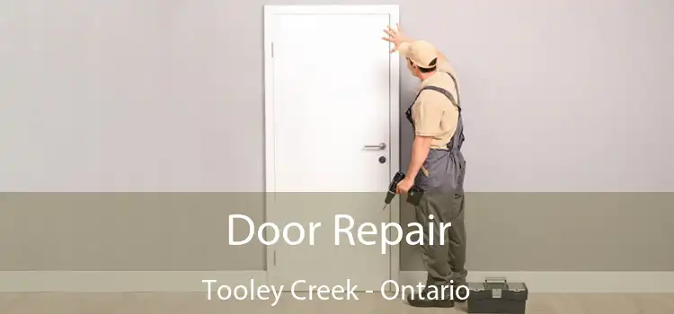 Door Repair Tooley Creek - Ontario