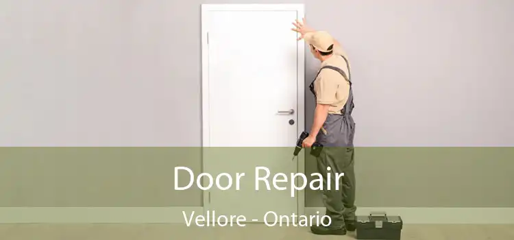 Door Repair Vellore - Ontario