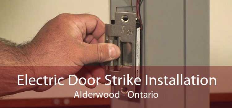 Electric Door Strike Installation Alderwood - Ontario