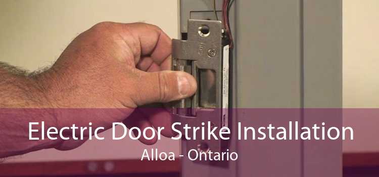 Electric Door Strike Installation Alloa - Ontario