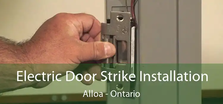 Electric Door Strike Installation Alloa - Ontario