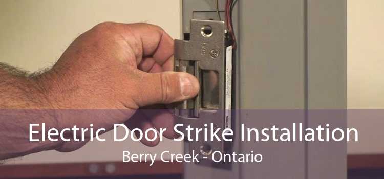 Electric Door Strike Installation Berry Creek - Ontario