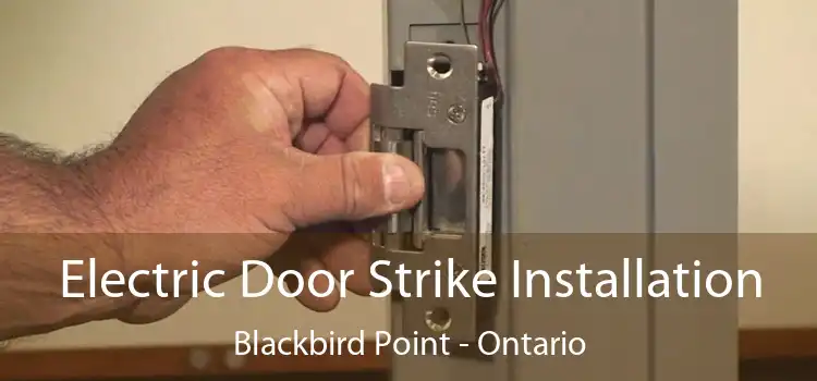Electric Door Strike Installation Blackbird Point - Ontario