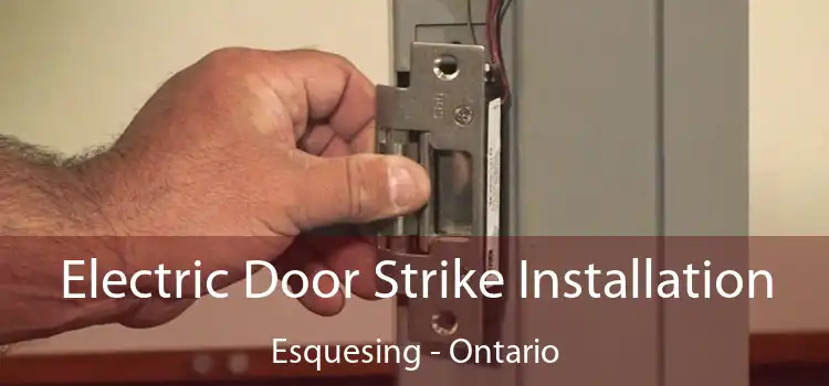 Electric Door Strike Installation Esquesing - Ontario