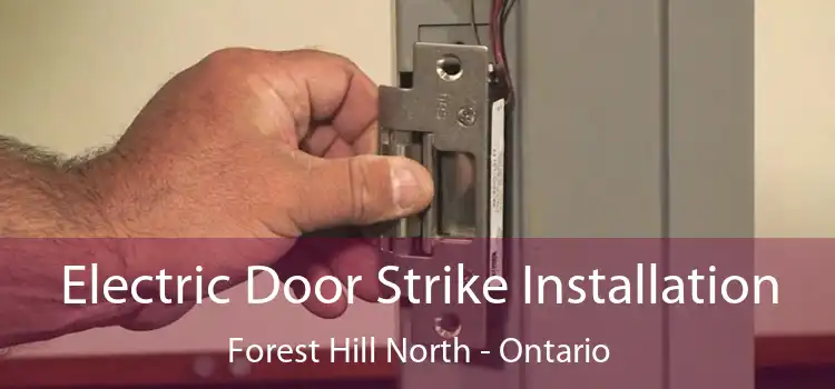 Electric Door Strike Installation Forest Hill North - Ontario