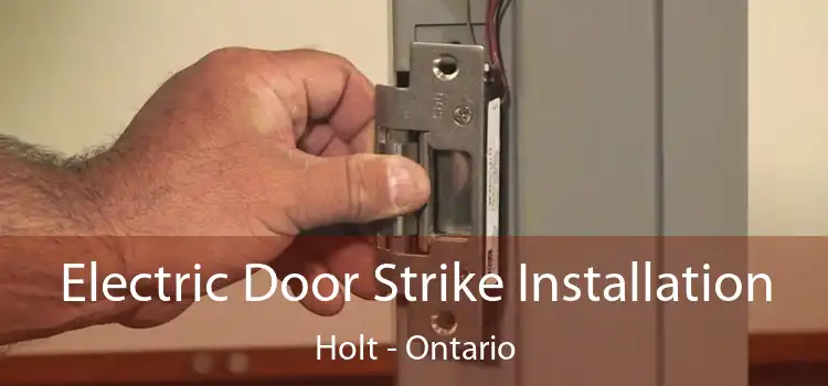 Electric Door Strike Installation Holt - Ontario
