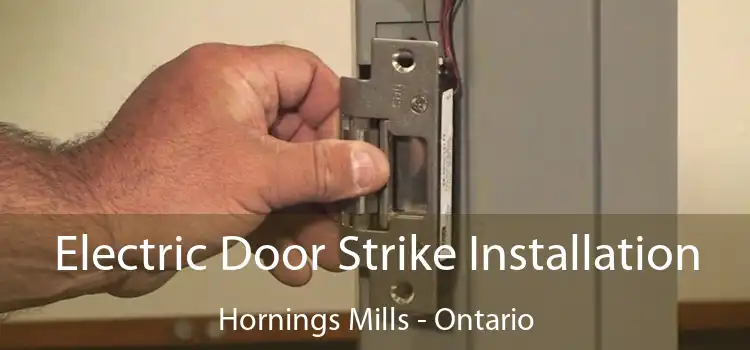 Electric Door Strike Installation Hornings Mills - Ontario
