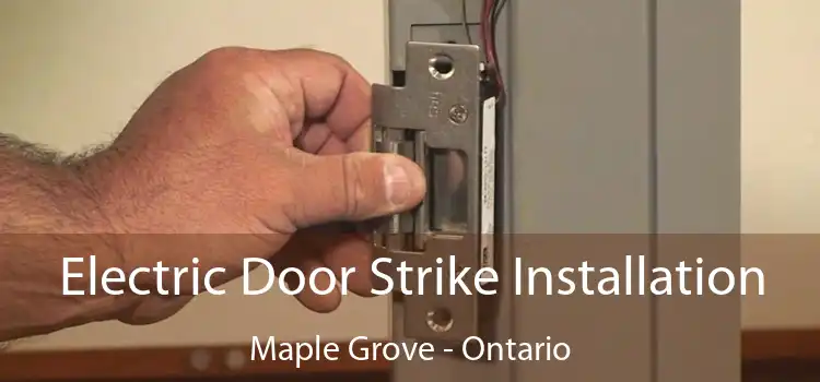 Electric Door Strike Installation Maple Grove - Ontario