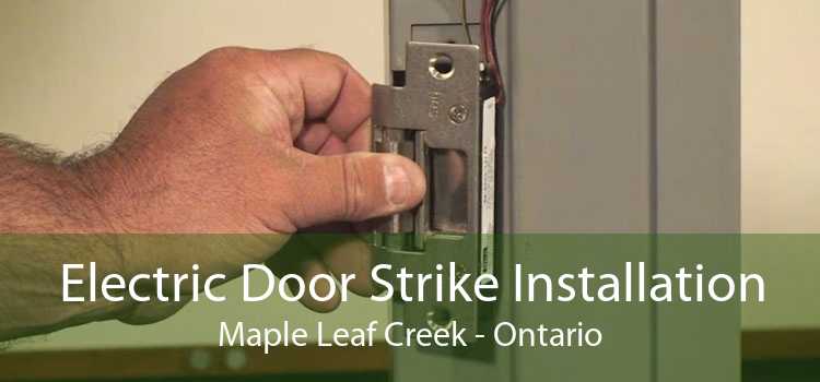 Electric Door Strike Installation Maple Leaf Creek - Ontario
