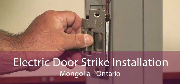 Electric Door Strike Installation Mongolia - Ontario