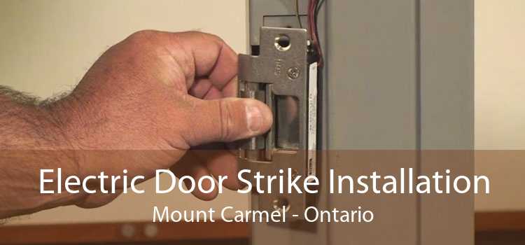 Electric Door Strike Installation Mount Carmel - Ontario