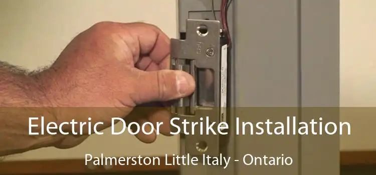 Electric Door Strike Installation Palmerston Little Italy - Ontario