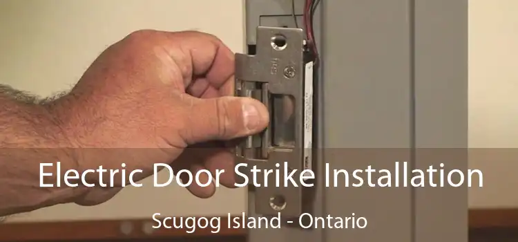 Electric Door Strike Installation Scugog Island - Ontario